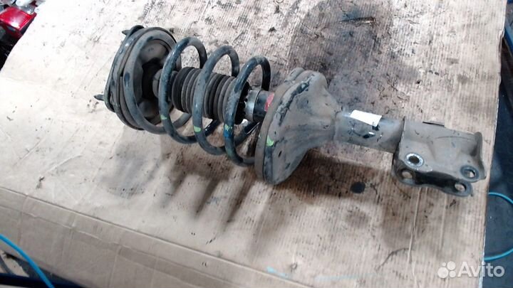 Амортизатор подвески Nissan Tiida, 2004