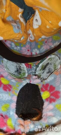 Фурсьют собака