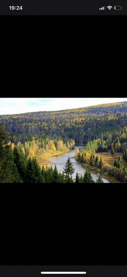 Участок 40 сот. (СНТ, ДНП)