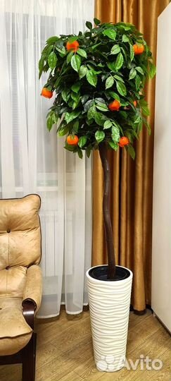 Декоративное дерево Мандарин 150-160 см