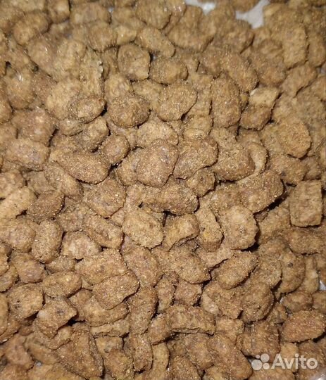 Сухой корм для кошек проплан (pro plan)