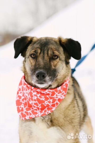 Мира мечтает найти семью