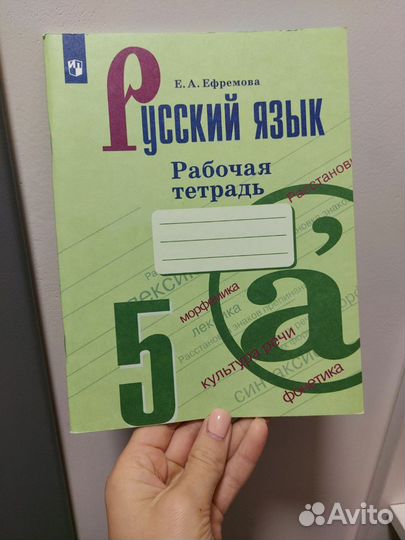 Русский язык 5 класс