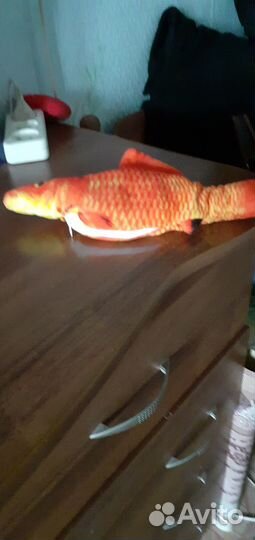 Новая игрушка для котов