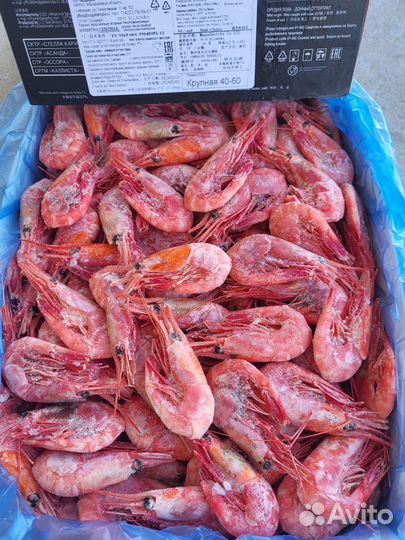 Креветка магаданская (икорные )