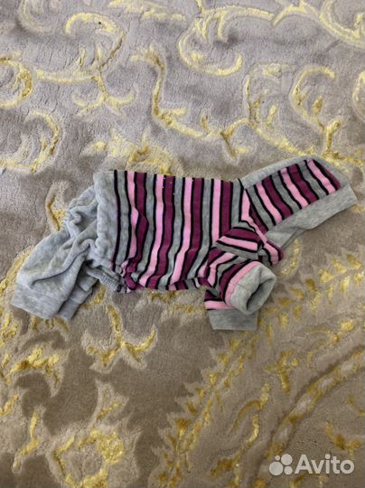 Комбинезон для маленькой собачки