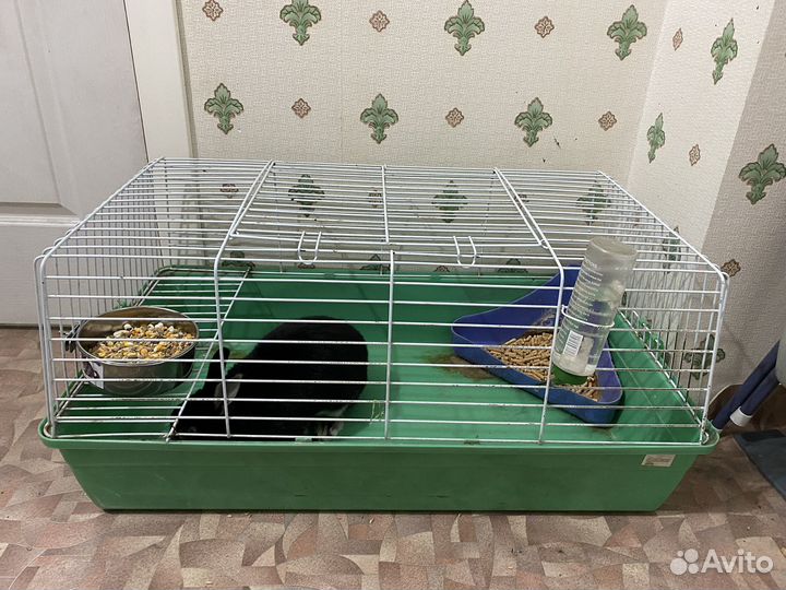 Продам кролика вместе с клеткой