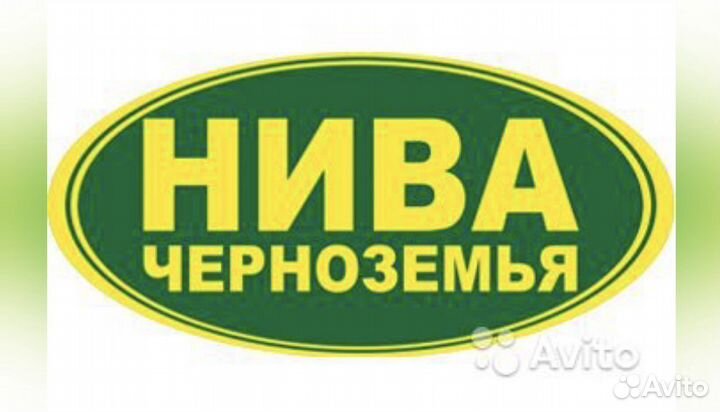 Кондитер