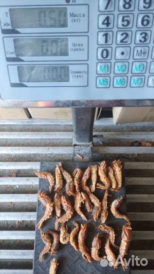 Креветка Медведка люкс мелко-средняя вылов 04.2022