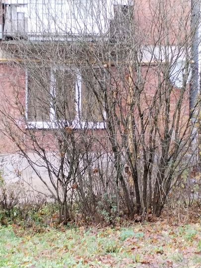 1-к. квартира, 31,4 м², 1/4 эт.