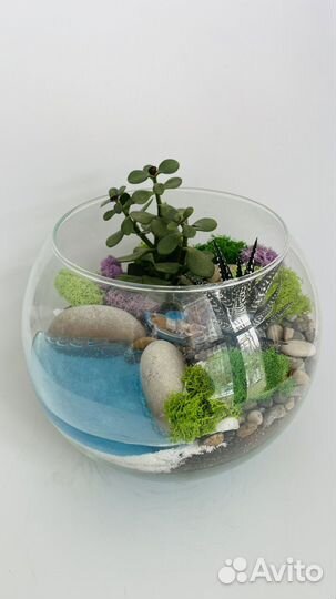 Флорариум с суккулентами и светящися водоемом