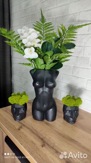 Сухоцветы в вазе, зелень в гипс кашпо для декора