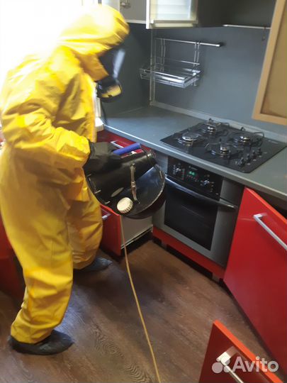 Уничтожение клопов тараканов блох муравьев клещей