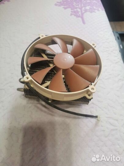 Asus p8z68