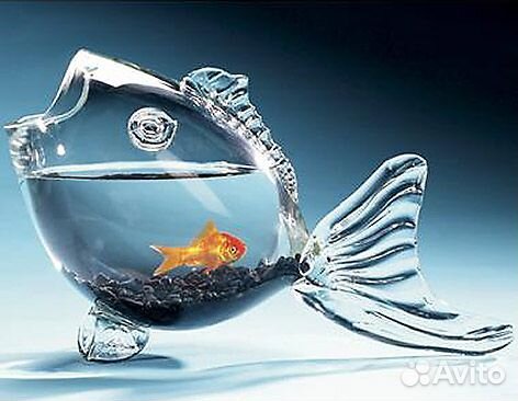 Оформление, чистка, обслуживание аквариумов и тп