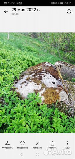 Бетонные плиты