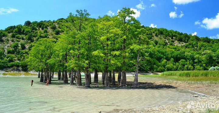 Экскурсия в Лагуну, Джиппинг, Рыбалка, Дайвинг