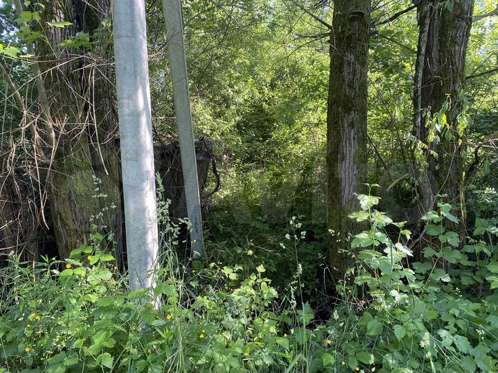 Участок 5,7 сот. (СНТ, ДНП)