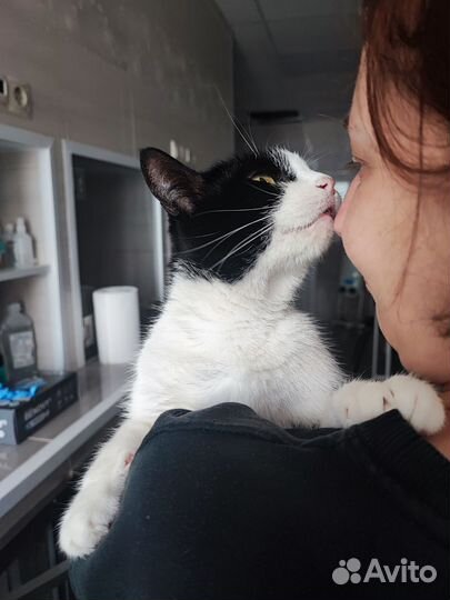 Маруся в дар бесплатно