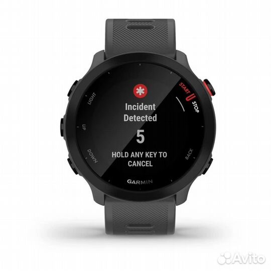 Часы Garmin Forerunner 55 Monterra Grey
