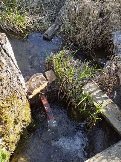 Участок 10 сот. (СНТ, ДНП)