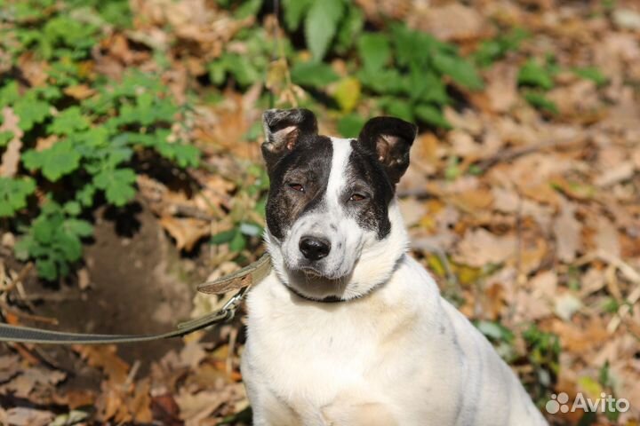 Лера ждет вас