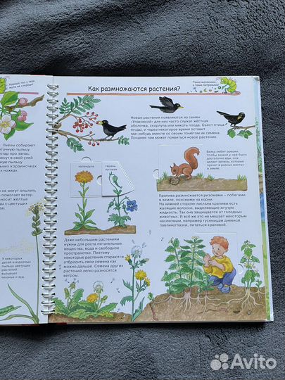 Книги зачем Отчего Почему