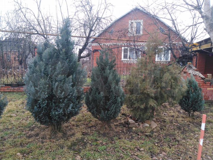 Дом 171 м² на участке 26 сот.