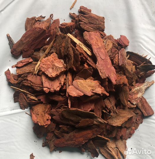 Кора сибирской лиственницы гумус