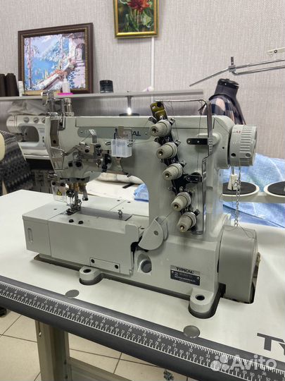 Машина typical трикотажная промышленная