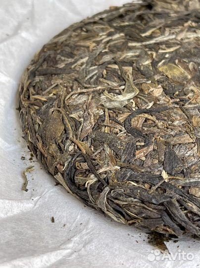 Шен Пуэр одиночное дерево, 600 лет