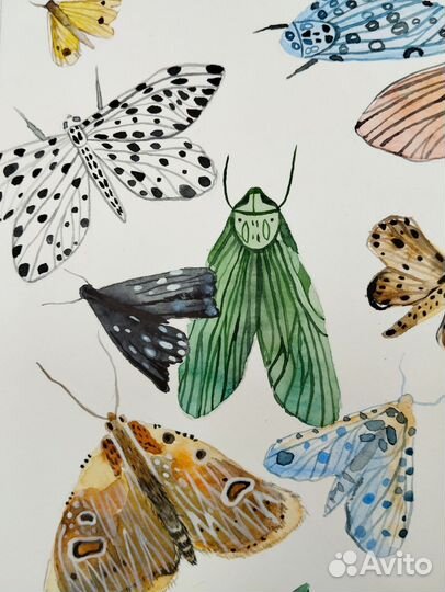 Акварель картина