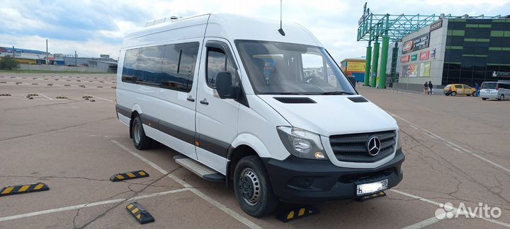 Аренда автобуса с водителем. Заказ автобуса