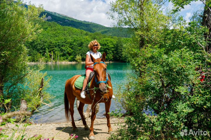 Конные прогулки. Экскурсии на лошадях