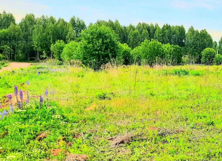 Участок 12 сот. (ИЖС)