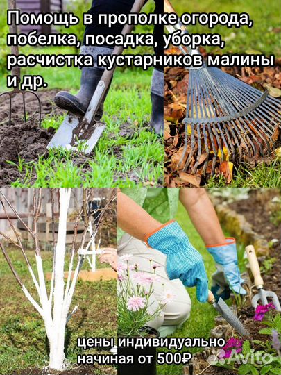 Помощь в огороде, в саду, на даче