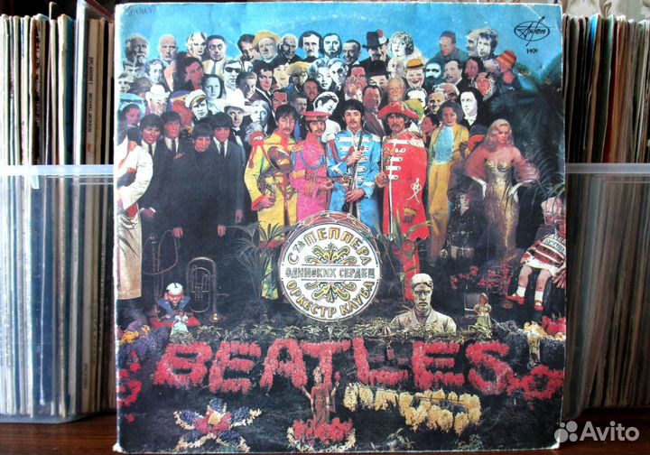 Виниловые Пластинки