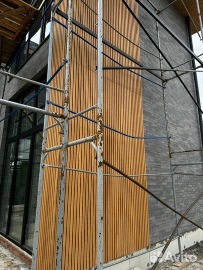 Универсальная панель Deco3D II-Populus euphratica