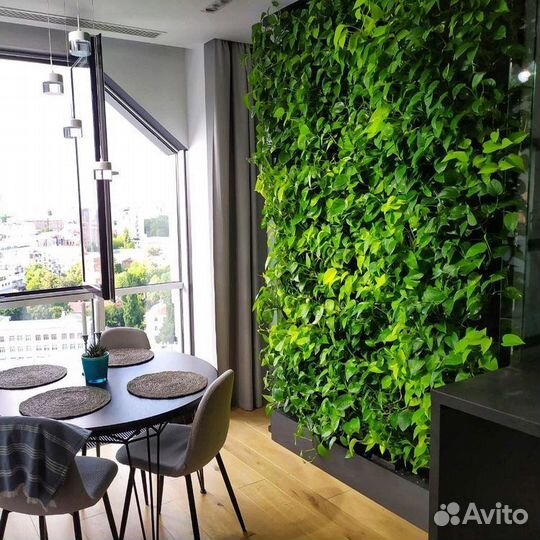 Озеленение интерьера