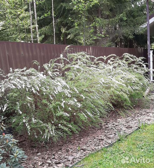 Покос травы