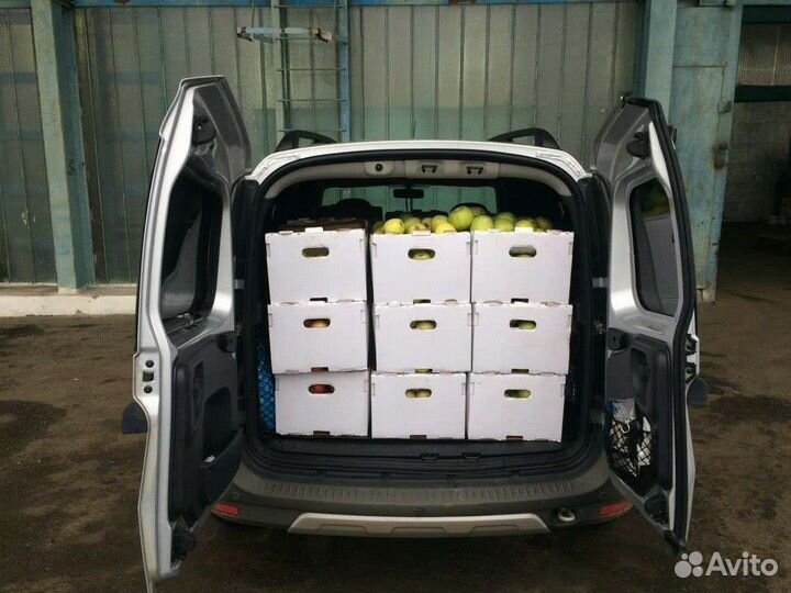 Грузоверевозки/Пассажирские LADA Largus Ларгус