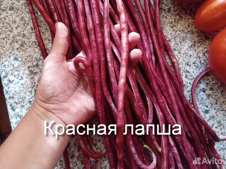 Вигна китайская 