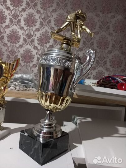 Кубки наградные по Дзюдо