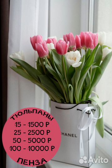 Тюльпан 101 / 51 тюльпан / 25 тюльпанов / 15 тюльп