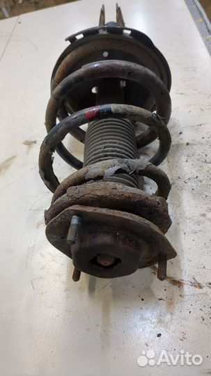 Амортизатор подвески Lexus RX, 2008