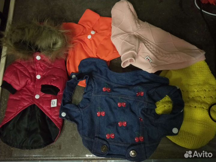 Одежда для очень маленькой собаки