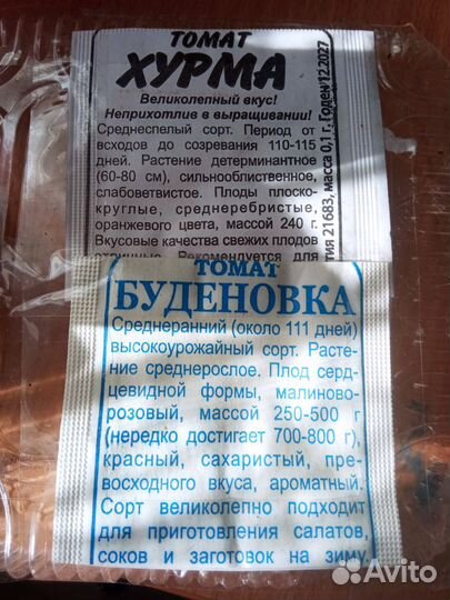 Рассада помидор