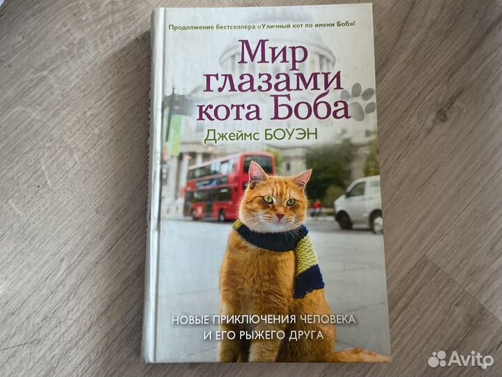 Книга «Мир глазами кота Боба»