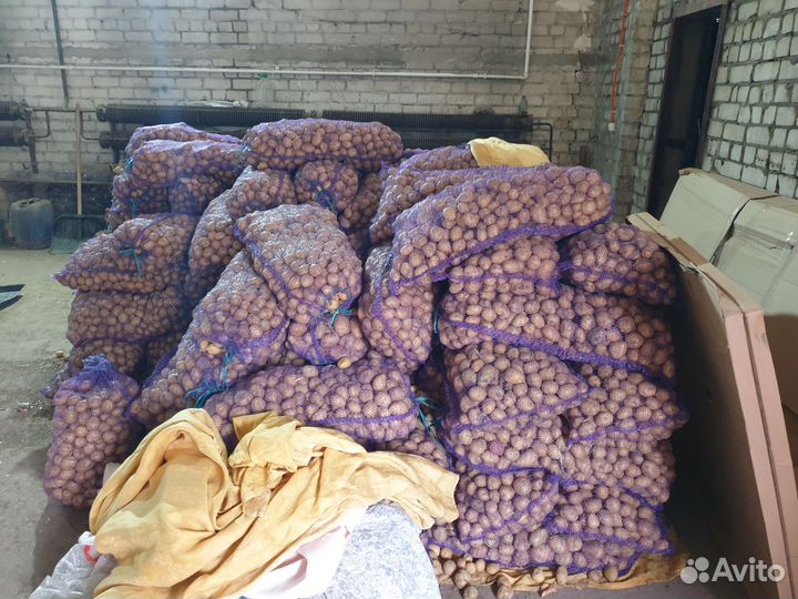 Картофель мелкий опт
