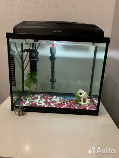 Аквариум под ключ